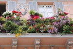 居住空間景觀提升高端別墅陽臺(tái)花園