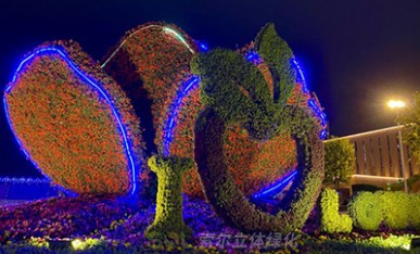 夜景下的立體花壇《幸?；ㄩ_》