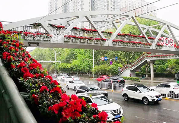 人行天橋景觀(guān)提升