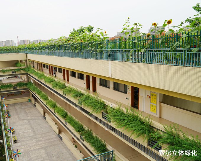 15杭州濮家小學連廊綠化.jpg