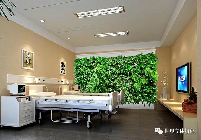 18氧媽媽-智能植物墻應用于醫院.jpg