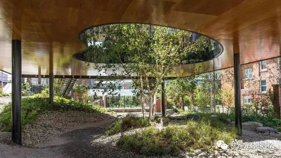 24瑪姬療養中心花園.jpg