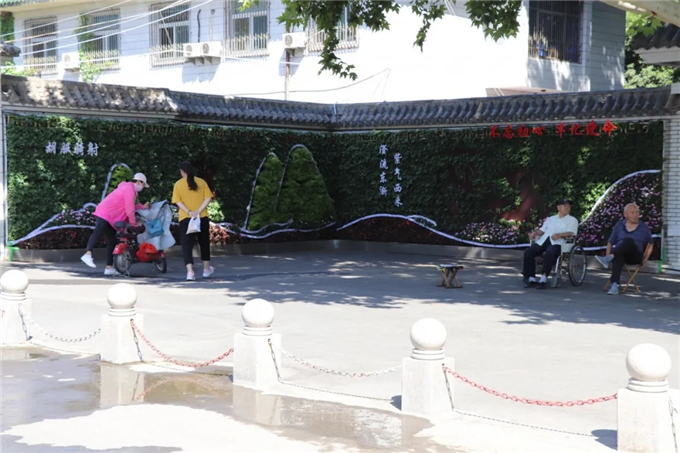 邯鄲首個“墻上花園”亮相，不但好看，還能降噪、除塵！ (3).jpg