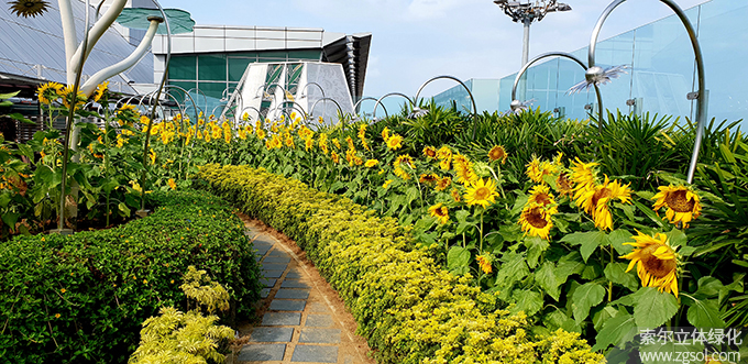 20新加坡樟宜機(jī)場向日葵屋頂花園 .jpg